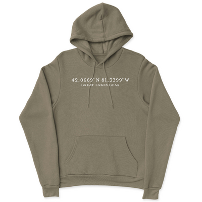 Mens 2X-Large OLIVE Hooded T-Shirt
